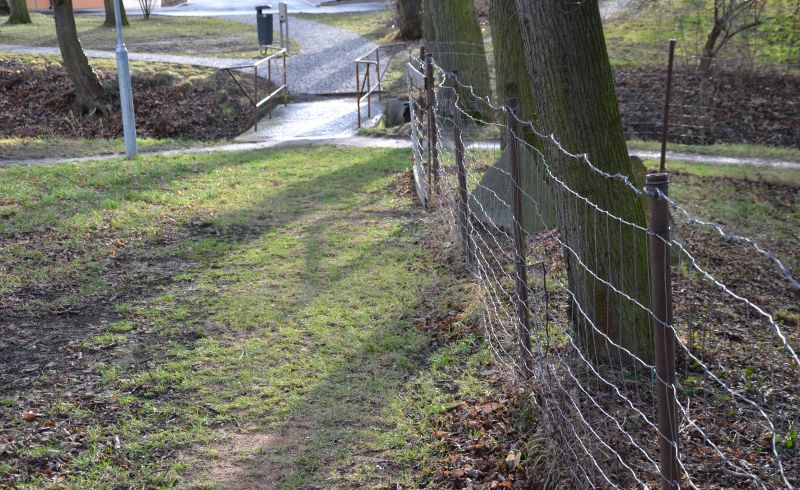 Metal Fencing Service